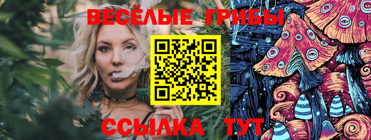 Дивногорск  Галлюциногенные грибы ЛСД  где можно купить   Вход с VPN 